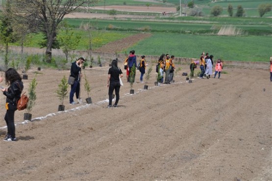 Yeşil Bir Uşak İçin TEMA Gönüllüleri Fidan Dikti!