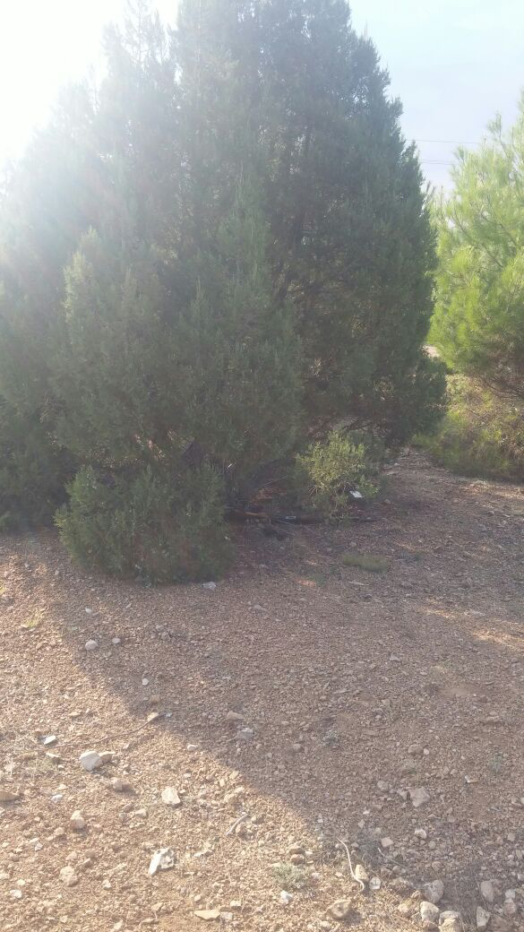 Sivaslı’da kaybolan genç ölü bulundu!