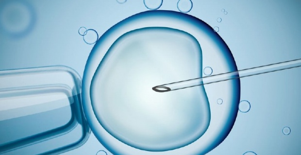 Tüp Bebek Tedavisinde Yumurta Rezervi Azalması