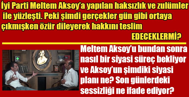 İyi Parti Eski Kadın Politikaları Başkanı Meltem Aksoy hakkında başka bir İyi Partili yazar Ahmet İtil sosyal medya hesabında neler söyledi.