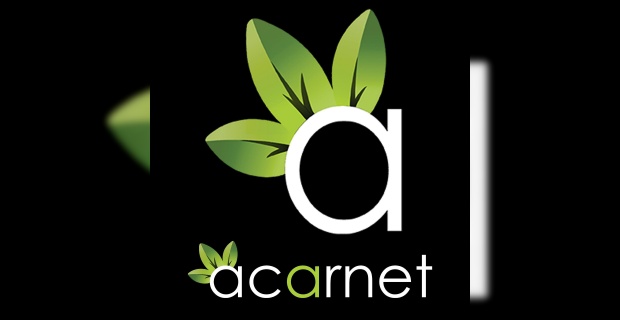 İstanbul Web Tasarım