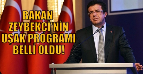 Ekonomi Bakanı Nihat Zeybekçi, Yarın Uşak'ta!