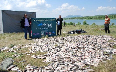 Eşme de İsrail Sazanı Yakalama Yarışması Yapıldı.