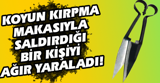 Kızgın Koca, Eşiyle Yasak İlişki Yaşadığını İddia Ettiği Bir Kişiyi Koyun Kırpma Makasıyla Ağır Yaraladı!