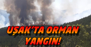 Uşak'taki Ciğerdede Köyü Yakınlarında Yangın!