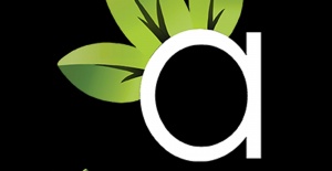 İstanbul Web Tasarım