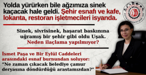 Çarşı esnafı telefonları ve mesajlarımızı susturmuyor: “Yazın da, ilaçlama yapsın Uşak belediyesi” diyor gazetecilere.