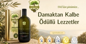 En İyi Zeytinyağı Markası Nasıl Seçilir? Kaliteli Zeytinyağının 6 Göstergesi