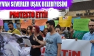 Hayvanseverlerden Kaybolan Köpekler İçin Eylem!