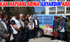 Sokak Hayvanlarına İlk Yardım Ekipleri Müdahale Edecek!