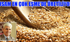 Uşak, Susam Üretiminde 4. Sırada!