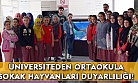 Uşak Üniversitesi öğrencilerinden, ortaokul öğrencilerine halkla ilişkiler projesi!